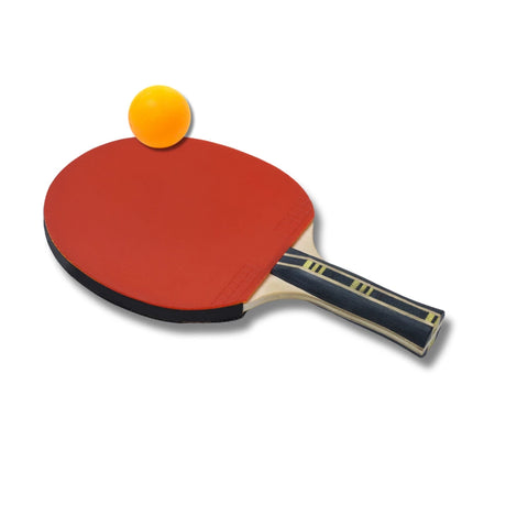 Tennis de Table raquette et balle jaune