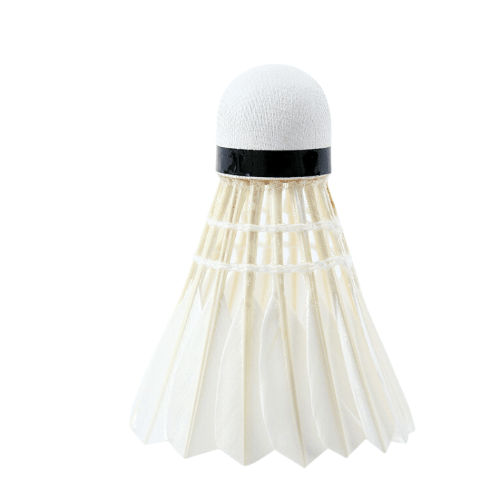 Volants plume de Badminton weinixun 60 x12 Entraînement - plume de badminton - 12 pcs - badminton - volant badminton
