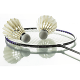 Badminton