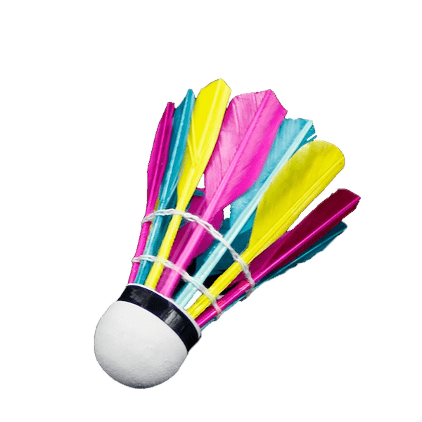 Volants De Badminton En Plumes De Canard - Tête En Mousse Haute Densité, Pour Entraînement Intérieur/extérieur