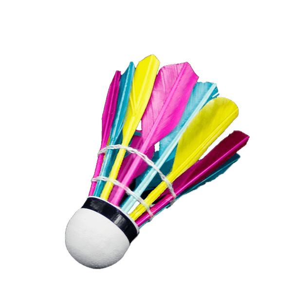plumes volante badminton stable et précise multicolore Bonix