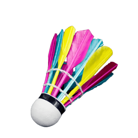 plumes volante badminton stable et précise multicolore Bonix