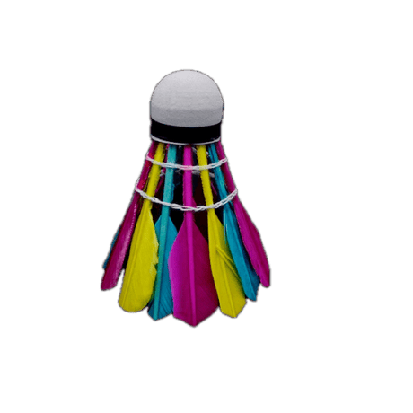 plumes volante badminton stable et précise multicolore Bonix